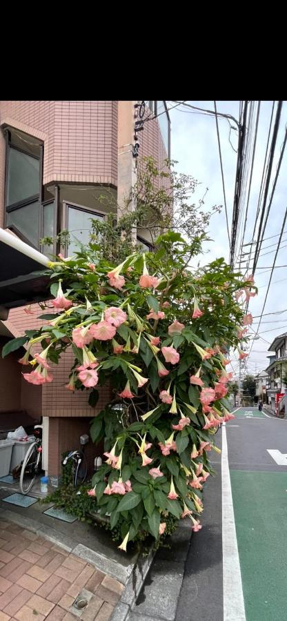 Appartement 東洋の家-26 Square Meter Treadmi Garden House à Tōkyō Extérieur photo