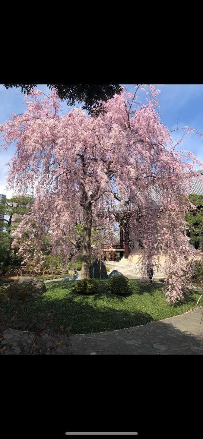 Appartement 東洋の家-26 Square Meter Treadmi Garden House à Tōkyō Extérieur photo