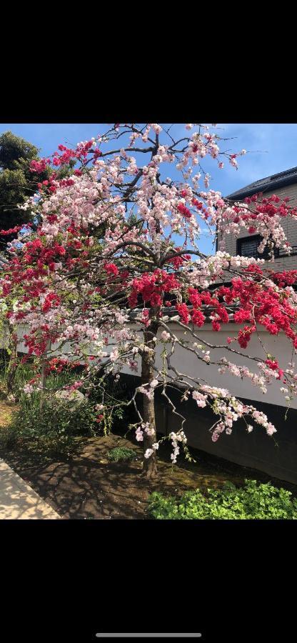 Appartement 東洋の家-26 Square Meter Treadmi Garden House à Tōkyō Extérieur photo